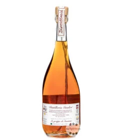 Gualco Grappa Rubinia Riserva 8 Gualco Grappa Rubinia Riserva -Spirituosengeschäft distilleria gualco grappa rubinia 07l 3 1